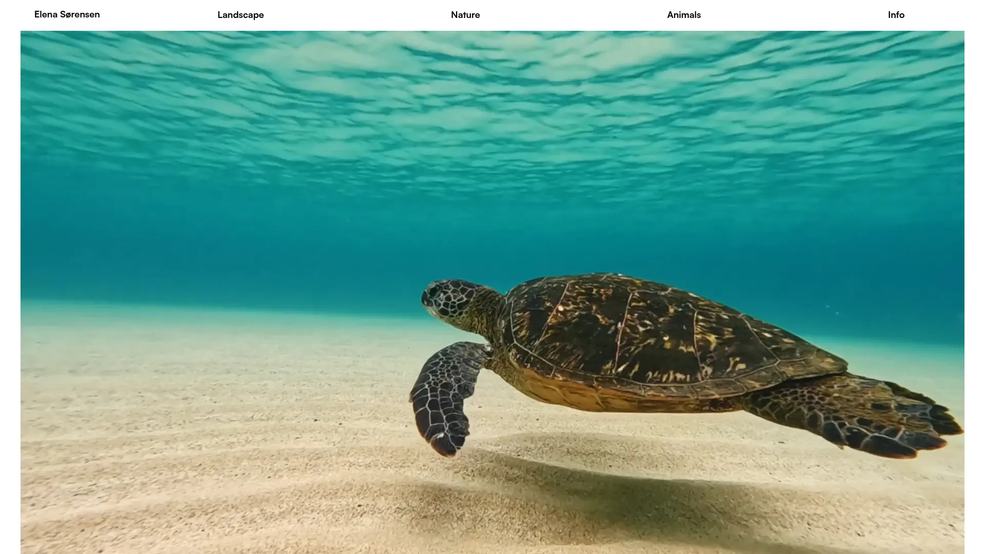 Loading preview of Professional portfolio